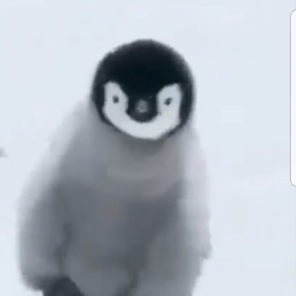 Meet your Posher, Marta